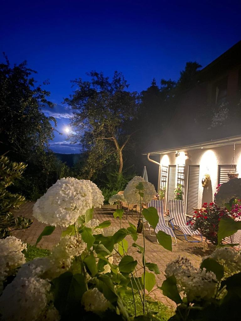Ferienwohnungen Elsterblick บัดเอลสเตอร์ ภายนอก รูปภาพ